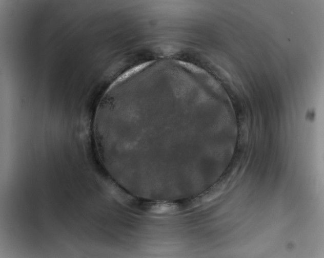 X0000102490274200808221737