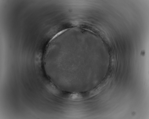 X0000102490275200808221737