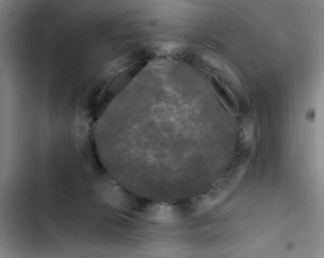 X0000102490276200808221737