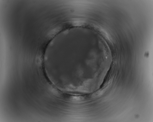 X0000102490277200808221737