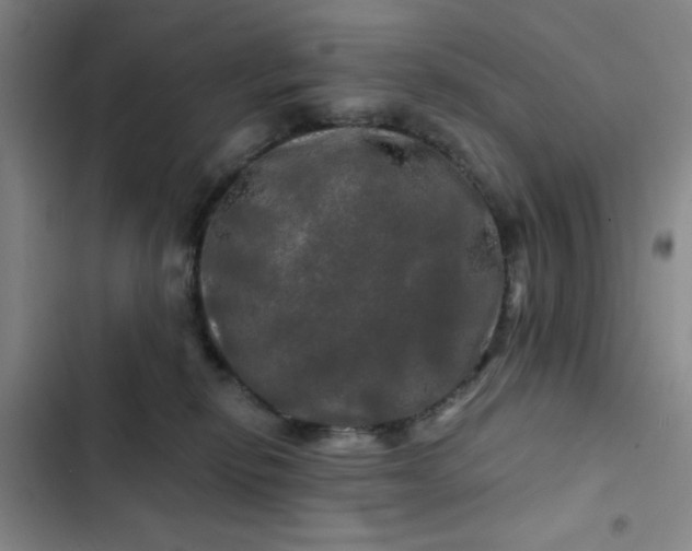 X0000102490278200808221737