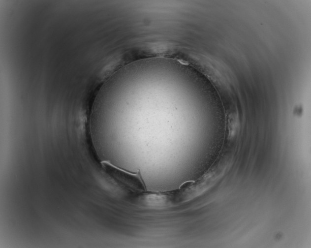 X0000102490279200808221737