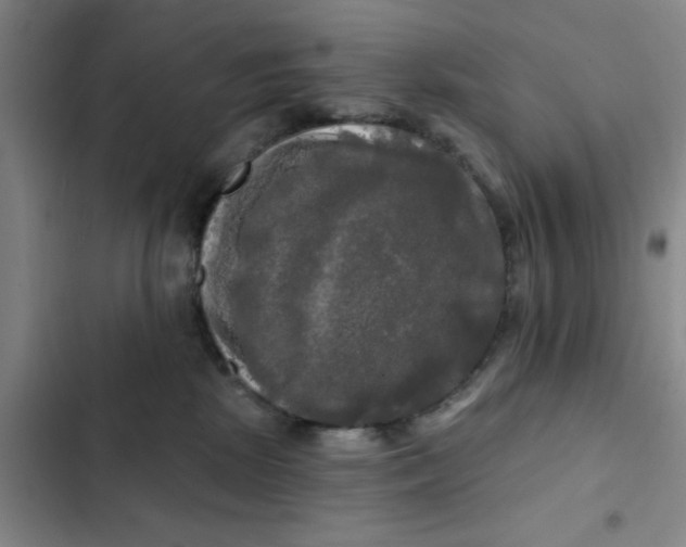 X0000102490281200808221737