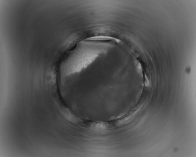 X0000102490282200808221737