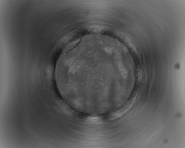 X0000102490283200808221737