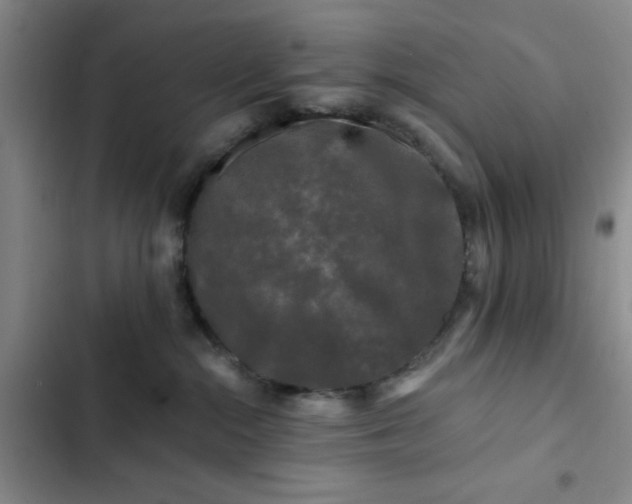 X0000102490284200808221738