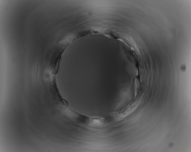 X0000102490285200808221738