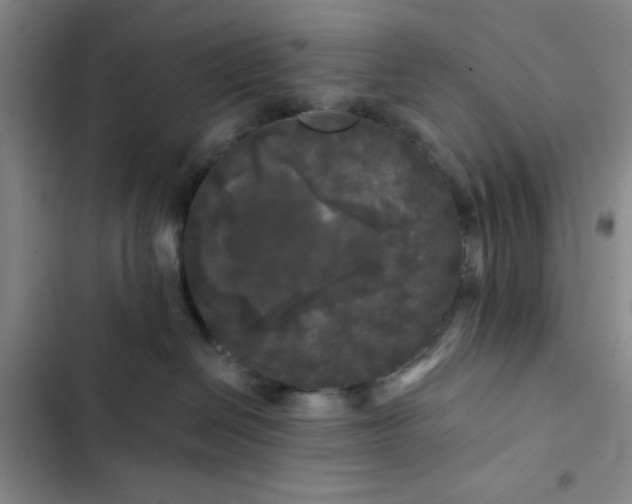 X0000102490286200808221738