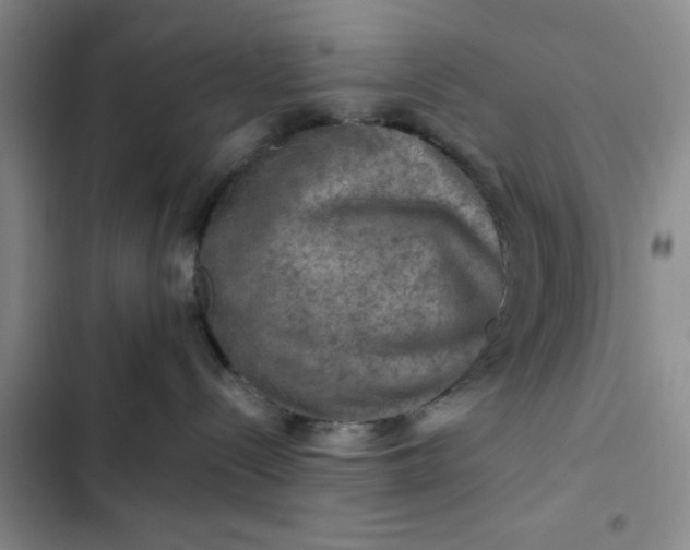 X0000102490288200808221738