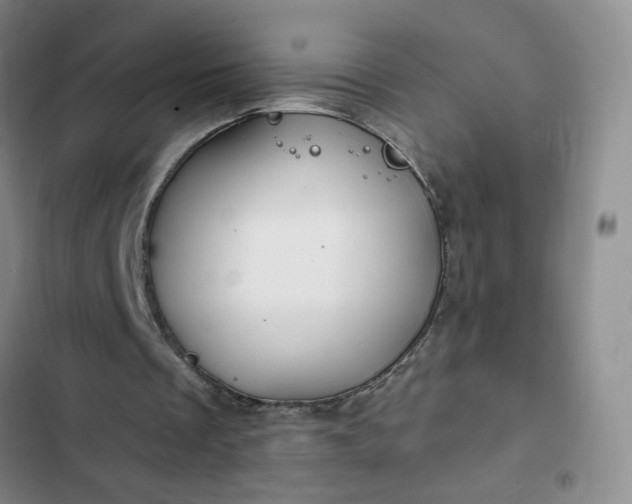 X0000102490289200808221737