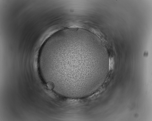 X0000102490291200808221737