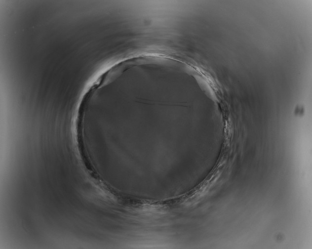 X0000102490292200808221737