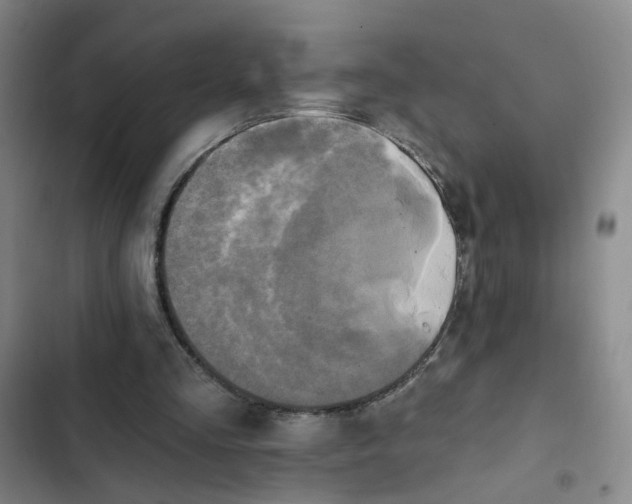 X0000102490293200808221737