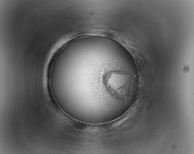 X0000102490294200808221737