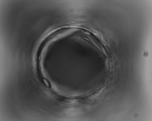 X0000102490295200808221737