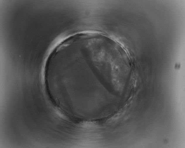 X0000102490296200808221737