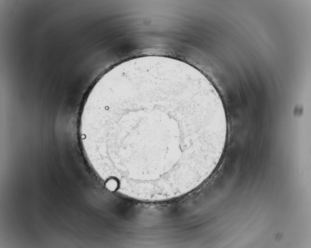 X0000102490297200808221737