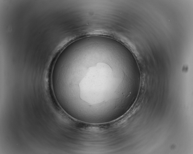 X0000102490298200808221737