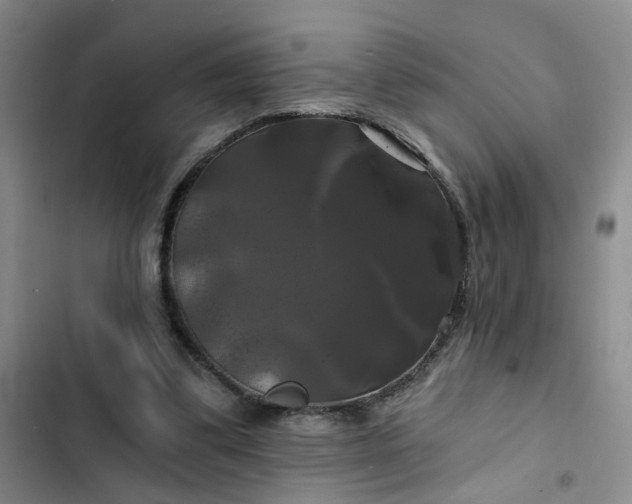 X0000102490299200808221737