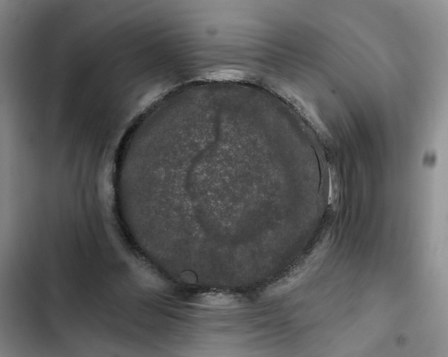 X0000102490300200808221737