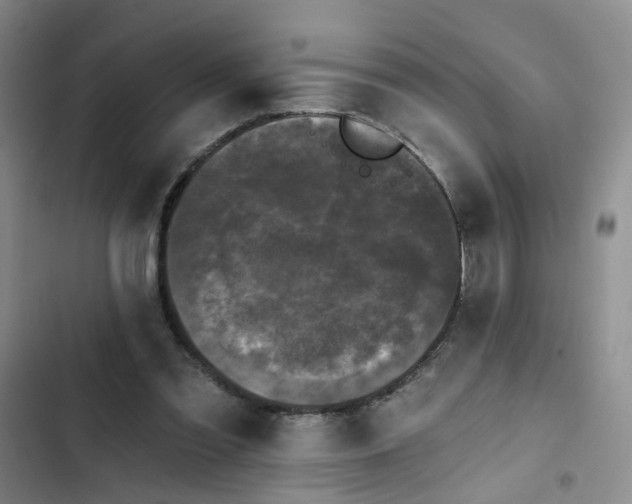 X0000102490301200808221737