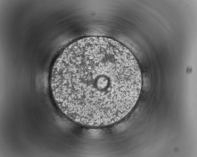 X0000102490302200808221737