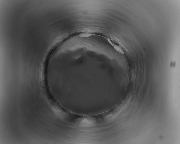 X0000102490303200808221737