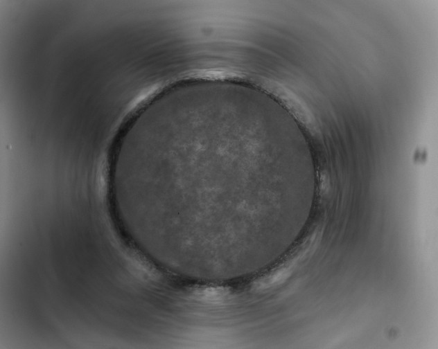 X0000102490304200808221737