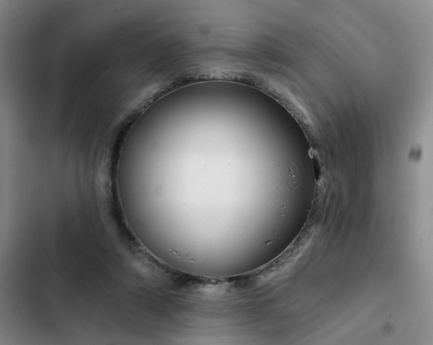 X0000102490306200808221737