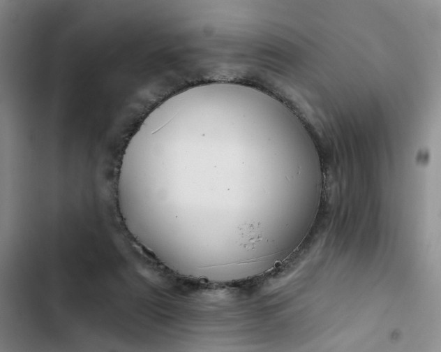 X0000102490307200808221737