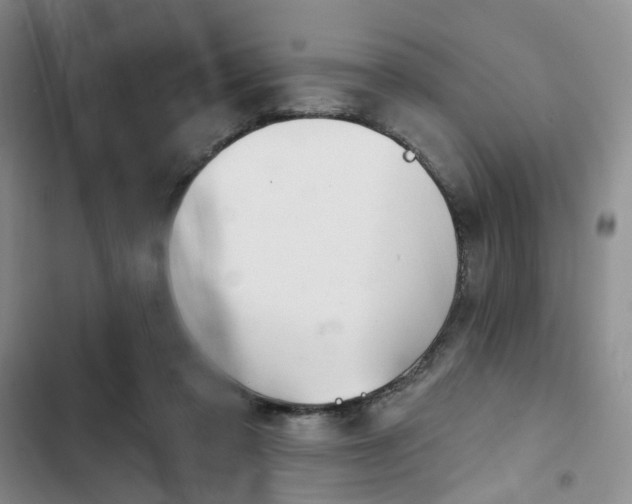 X0000102490309200808221737