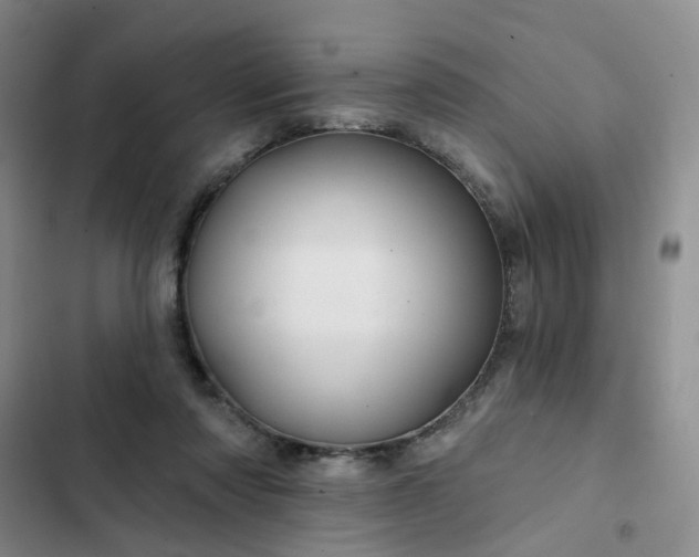 X0000102490310200808221737