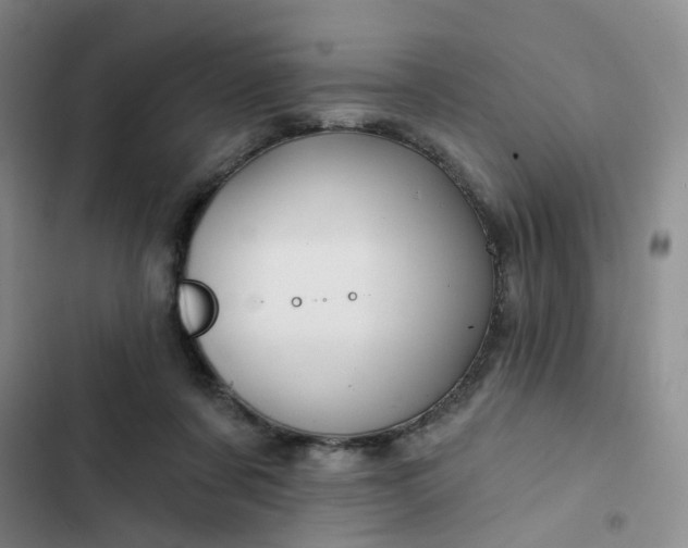 X0000102490311200808221737