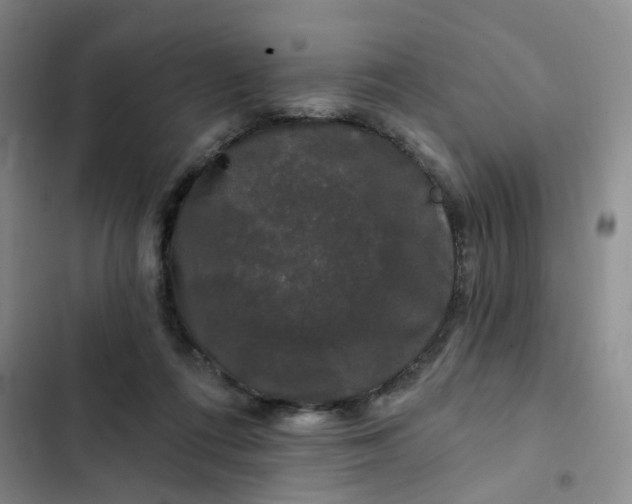 X0000102490312200808221737