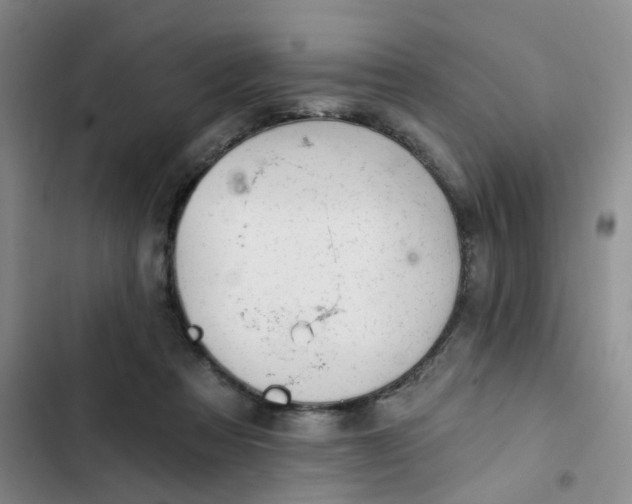 X0000102490313200808221737