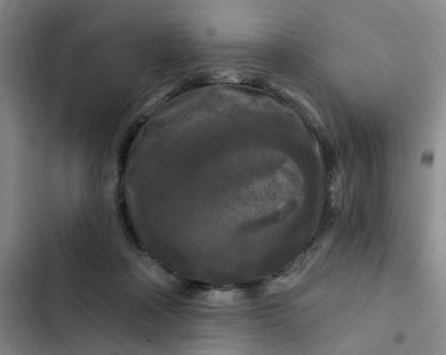 X0000102490314200808221737