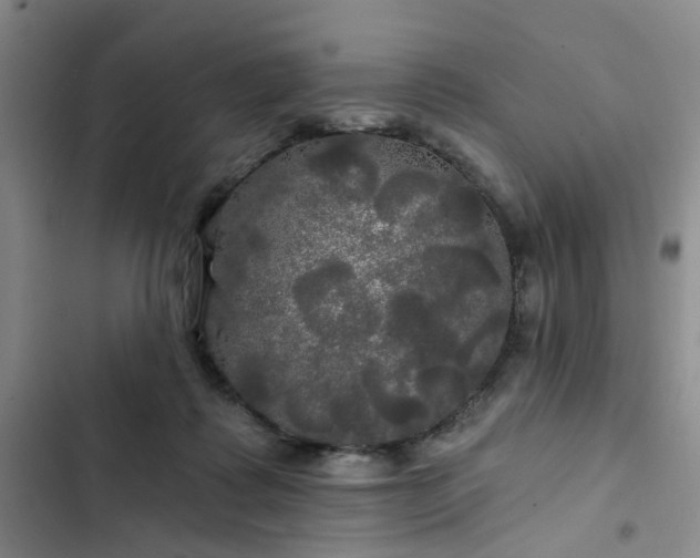 X0000102490315200808221737