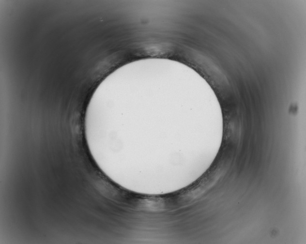 X0000102490317200808221737