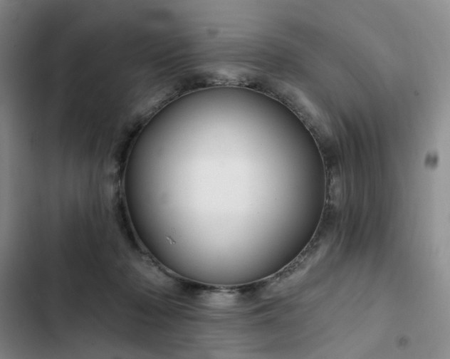 X0000102490318200808221736