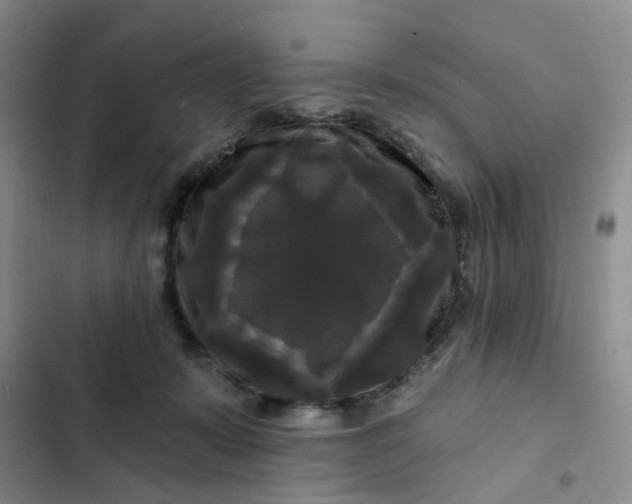 X0000102490319200808221736