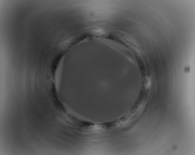 X0000102490320200808221736