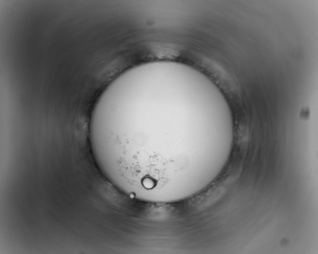 X0000102490321200808221736