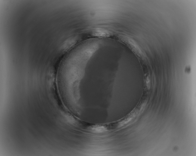 X0000102490322200808221736