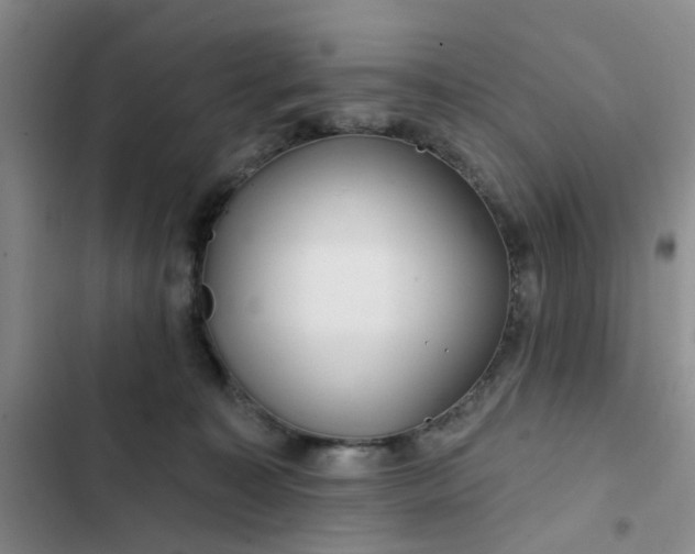 X0000102490323200808221736