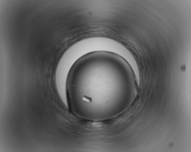 X0000102490324200808221736