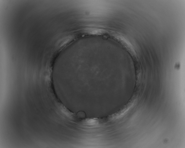 X0000102490325200808221736