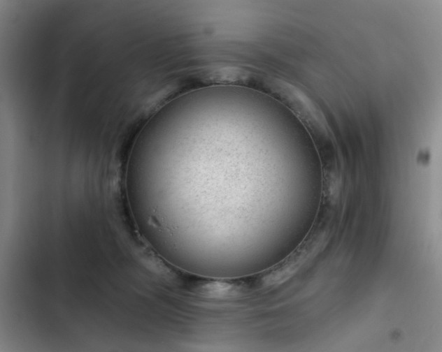 X0000102490326200808221736