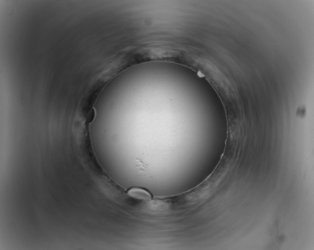 X0000102490327200808221736