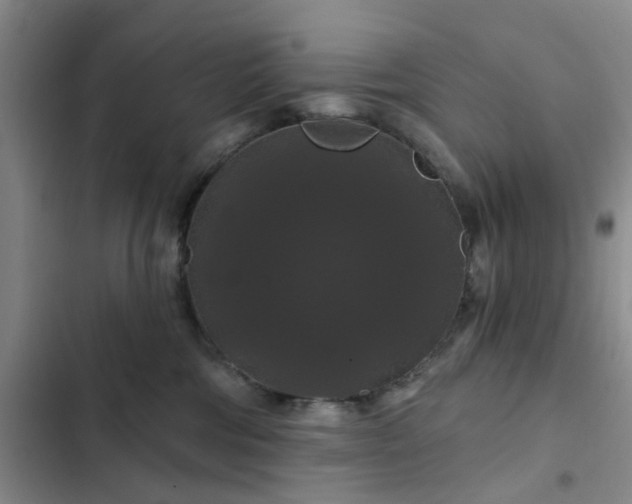 X0000102490330200808221736