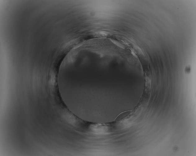 X0000102490331200808221736